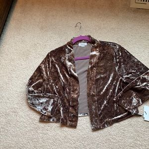 New With Tags Calvin Klein taupe crushed velvet formal cropped jacket XL